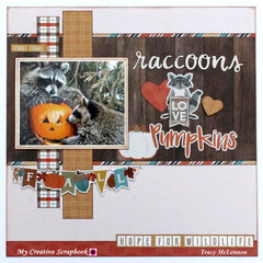 Raccoons Love Pumpkins