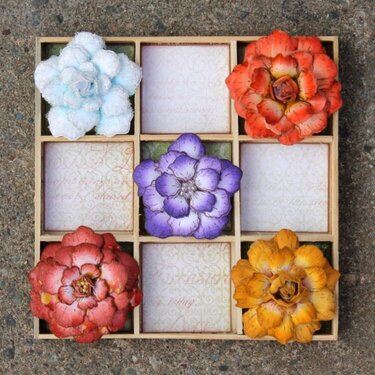 Classic Rose Sampler