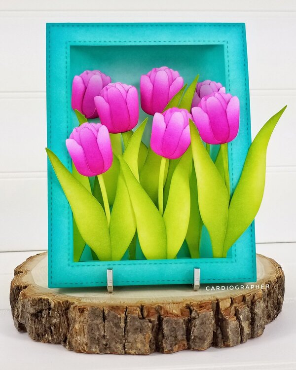 Magenta Tulips for Mom