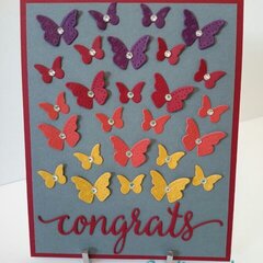 Congrats - butterflies