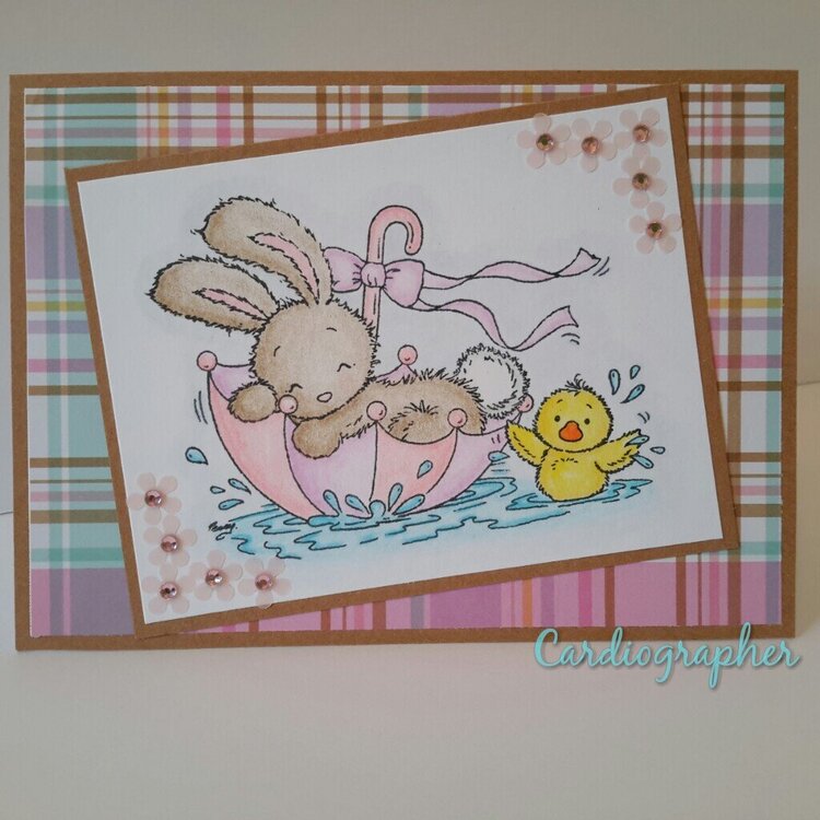 Spring bunny and duck - take 2