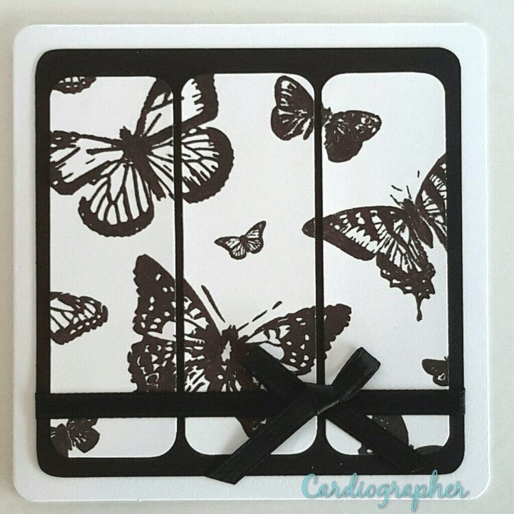 Monochromatic / two tone butterfly card set