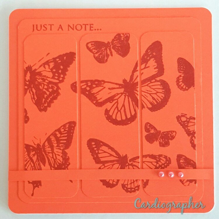 Monochromatic / two tone butterfly card set