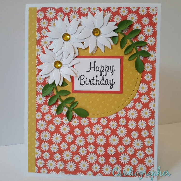 Daisies - birthday card
