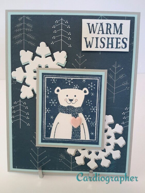 Warm wishes - polar bear
