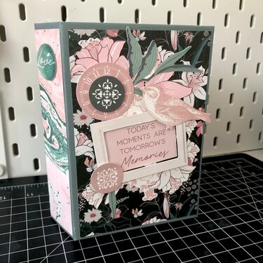 Lily and Moss Mini Album
