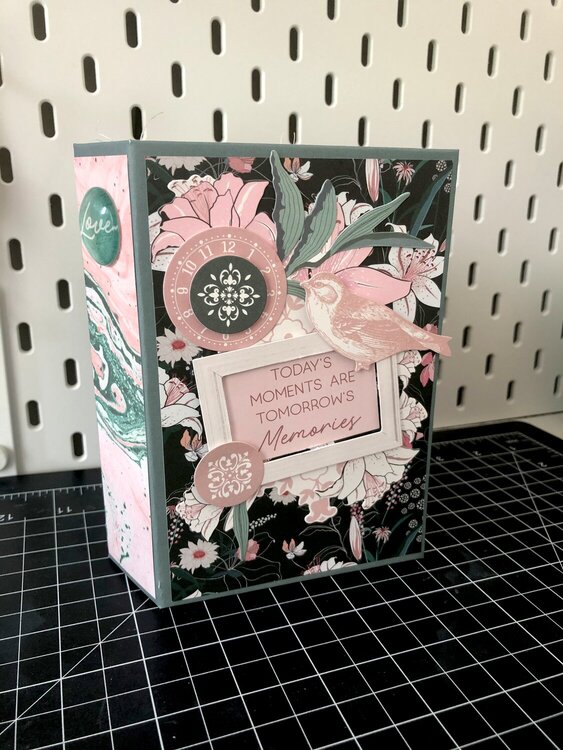 Lily and Moss Mini Album
