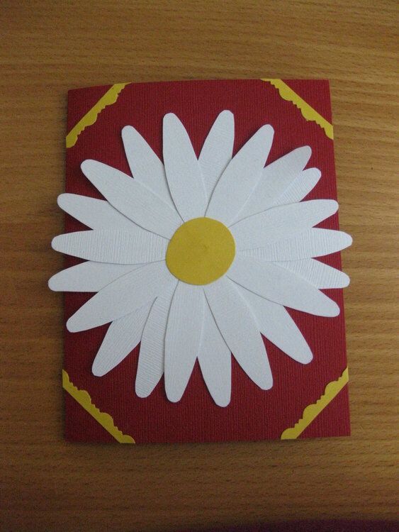 Daisy Card