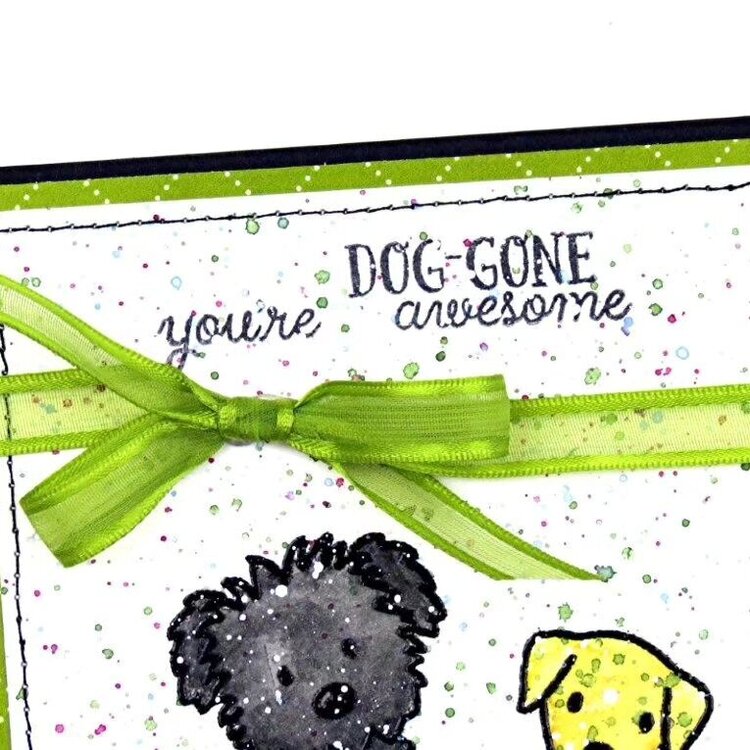 You&#039;re Dog-Gone Awesome!