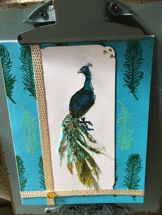 Ry peacock