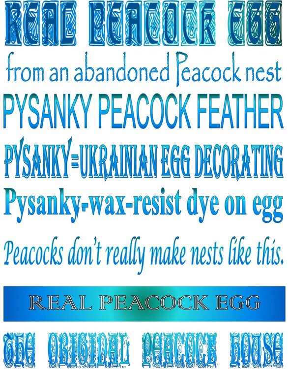 Peacock Pysanky--what the strips said