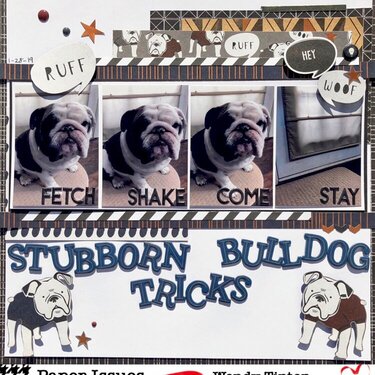 Stubborn Bulldog Tricks