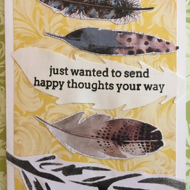 Feathers send happy thoughts