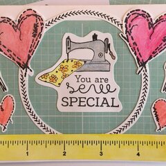 You are Sew Special