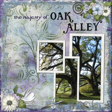 Majesty of Oak Alley