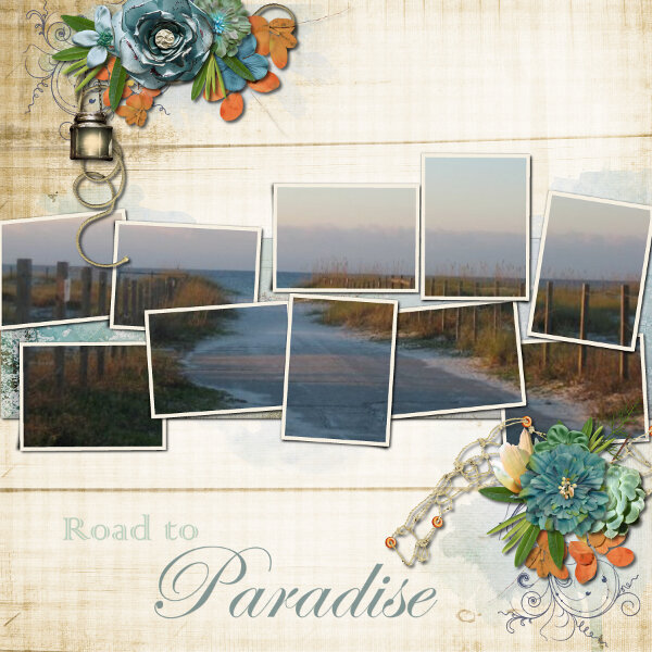 Road to Paradise