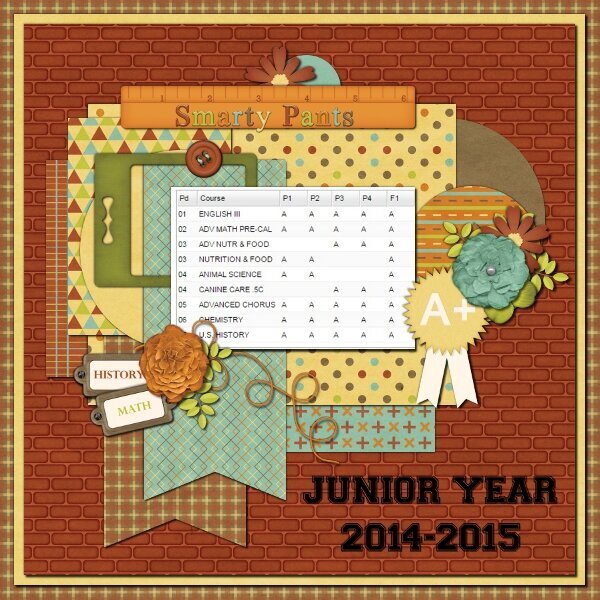 Junior Year Report Card