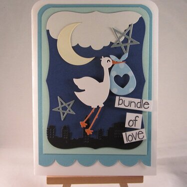 Stork Baby Boy Card