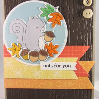 Nuts for You Fall Card