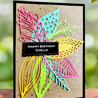 Colorful Feathers Birthday Card