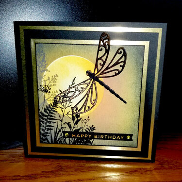 Masculine Dragonfly Birthday Card