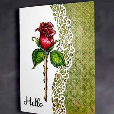 Red Rose and White Lace Card
