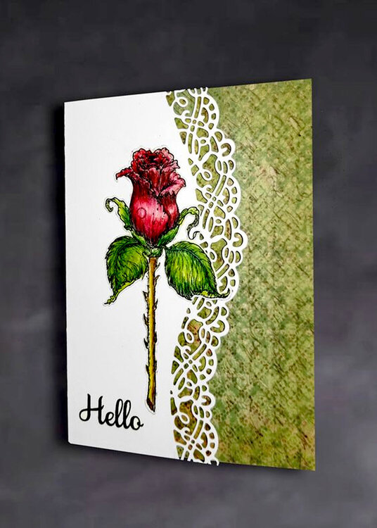 Red Rose and White Lace Card