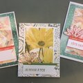 Daisy Delight with Stampin' Up
