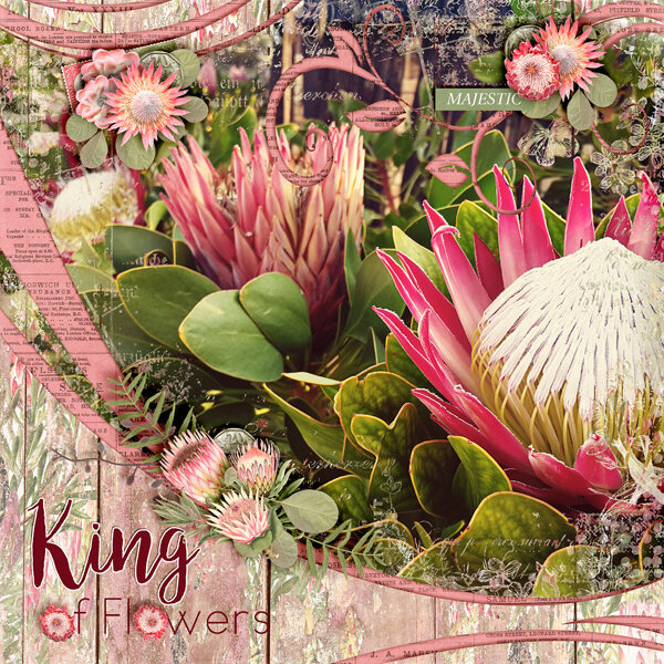 King of Flowers