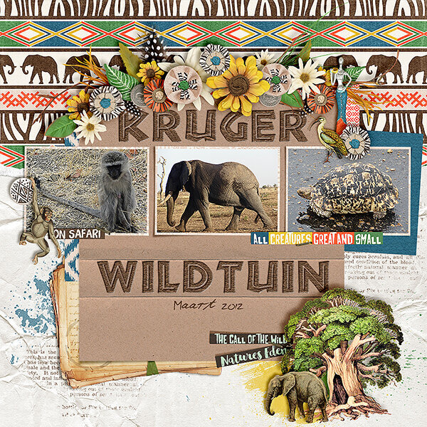 Kruger Wildtuin