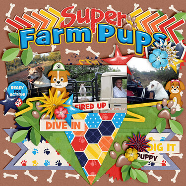 Super Farm pups