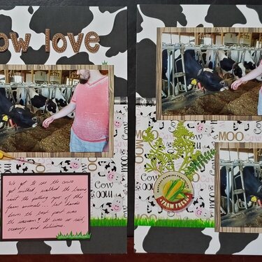 Cow Love