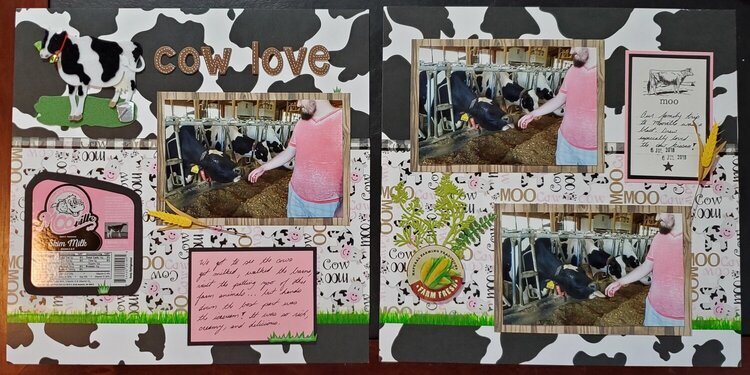 Cow Love