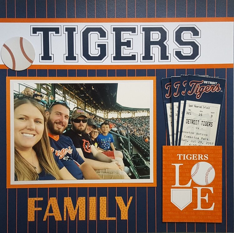 Tigers Baseball with Family