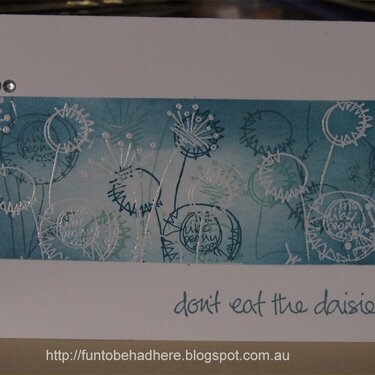 Dont eat the Daisies