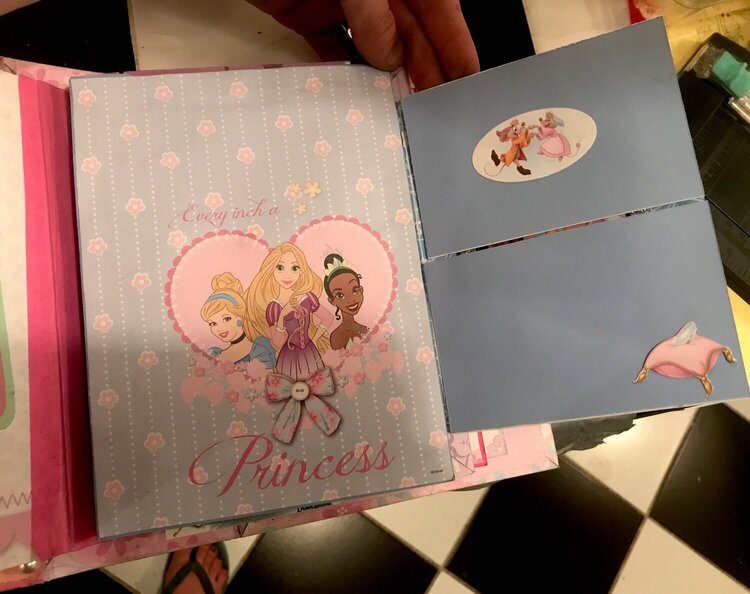 Disney Princess Mini Album