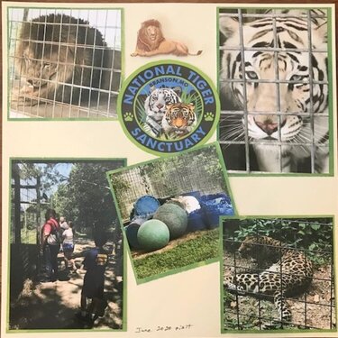 Tiger Sanctuary 2020 visit