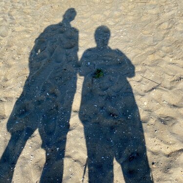 Shadows In The Sand