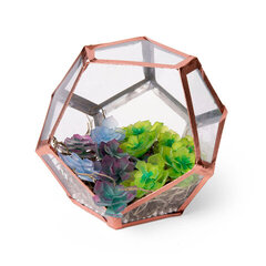 Shrinky Plastic 3D Succulents