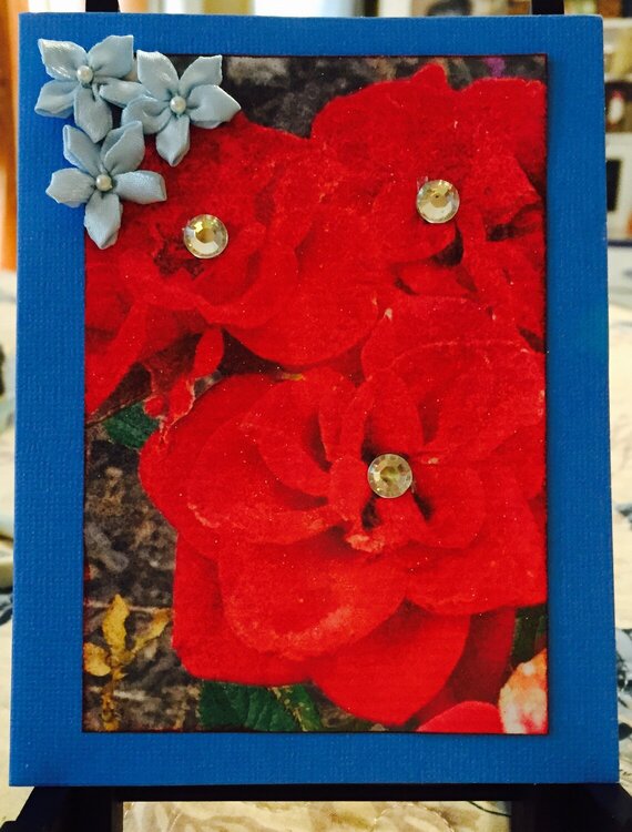 Floral Photo Card #3