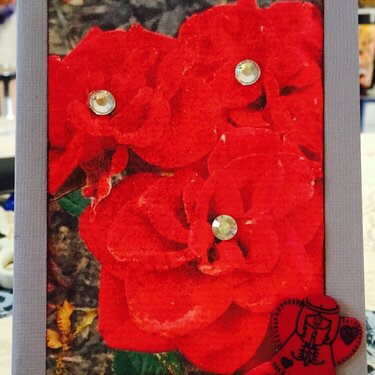 Floral Photo Card #4