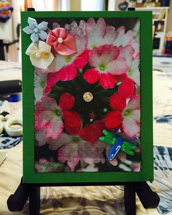 Floral Photo Card #5