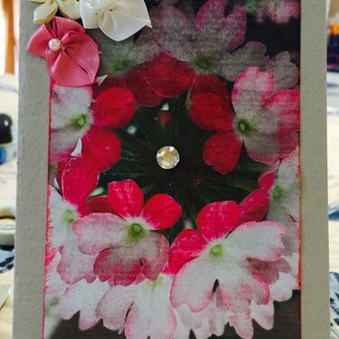 Floral Photo Card #6