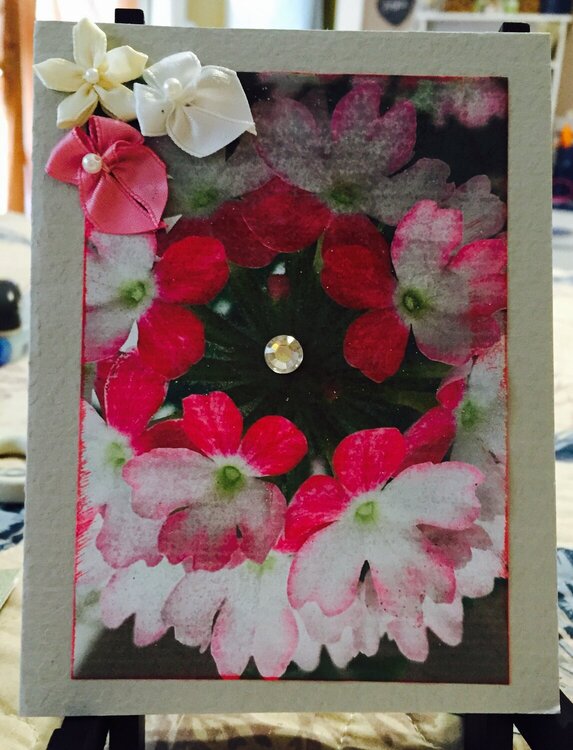 Floral Photo Card #6