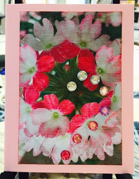 Floral Photo Card # 7