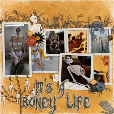It&#039;s A Boney Life