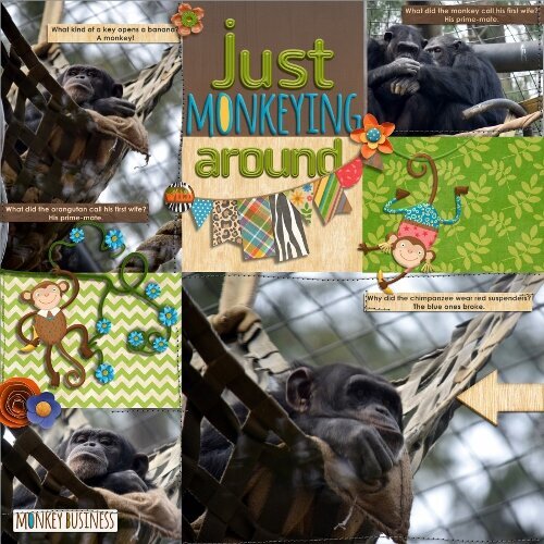 Just Monkeying Around