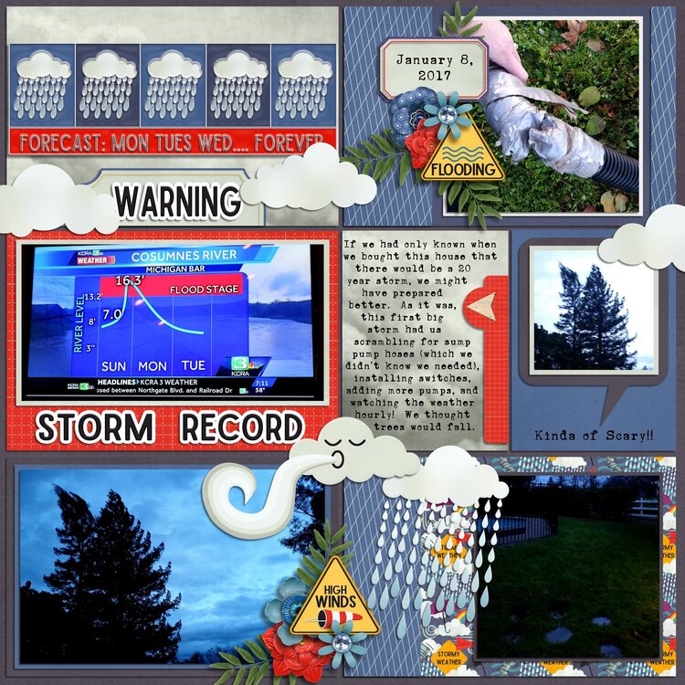 Storm Record