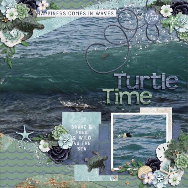 Turtle Time (Maui 2017)
