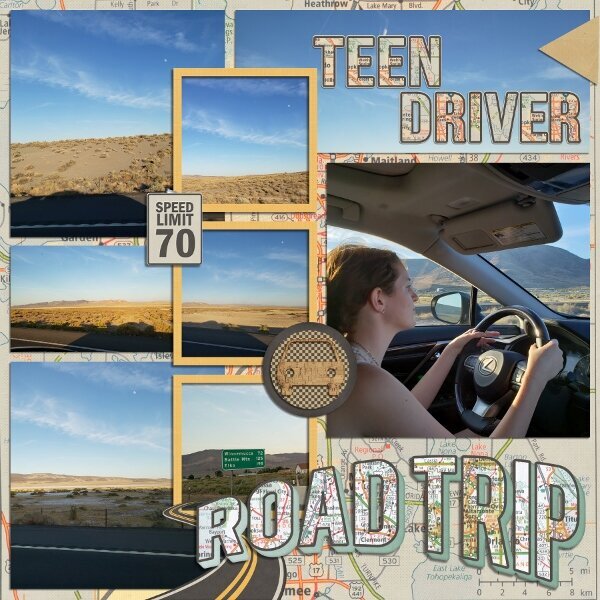 Road Trip Teen Driver